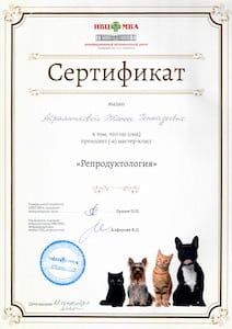 сертификат 4 212х300