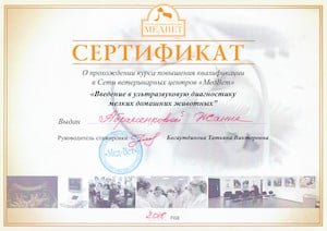 сертификат 5 300х212