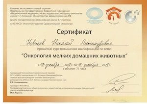 Сертификат 32 300х212